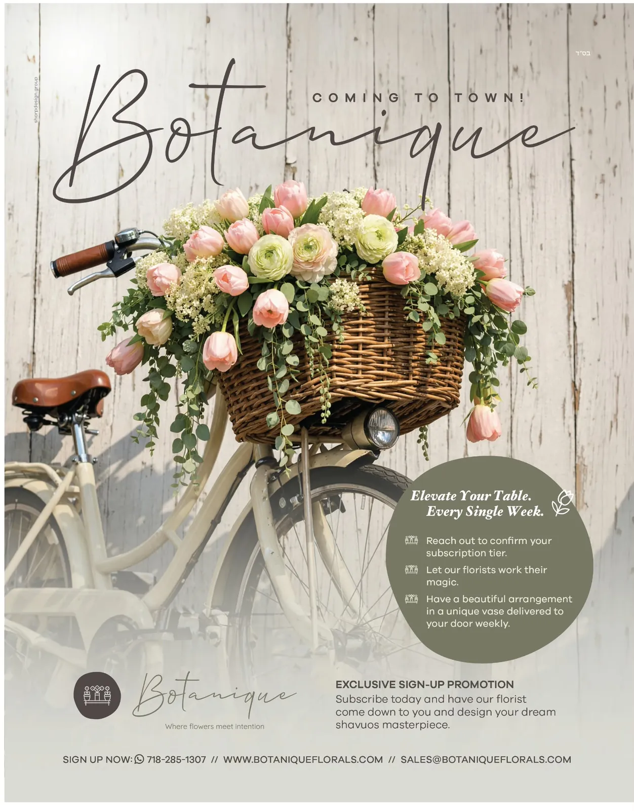 Botanique ad: Coming to town, designed by Sharp Design